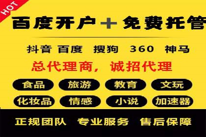 网络推广竞价策略解析与应用案例